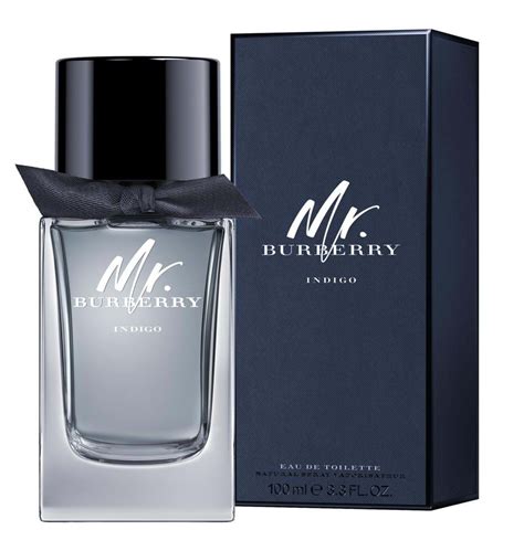 bduft neu burberry|burberry signatures for men.